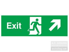 Exit / Running Man/ Arrow Up Right Signs  