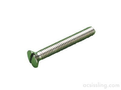 Machine Screw Raised Head Slotted NP  